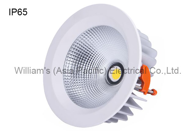 RL-LED-M-WP230
